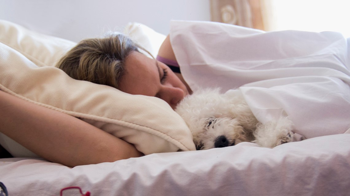 Women sleep better with dogs by their side instead of other people