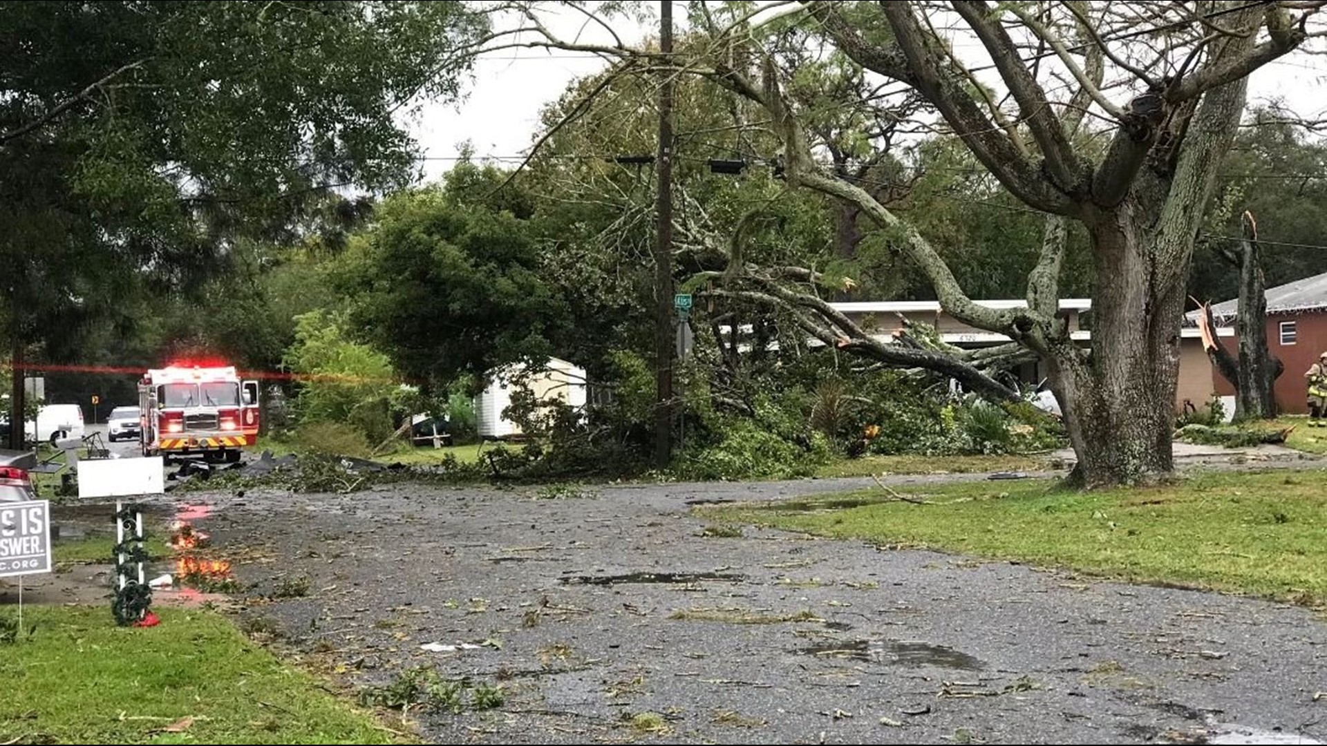 Tornado with 100mph winds downs trees in New Port Richey NWS