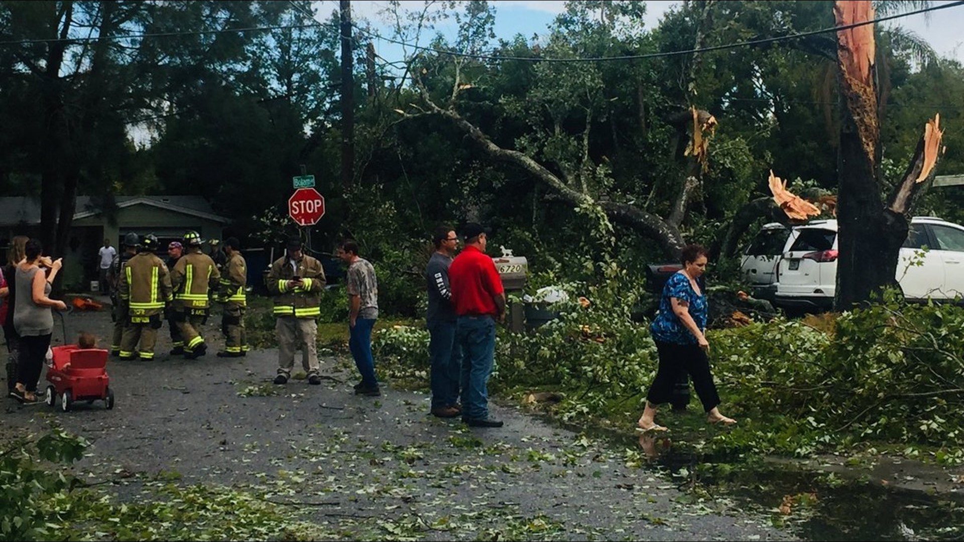 Tornado with 100mph winds downs trees in New Port Richey NWS