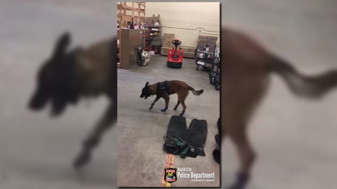 South Dakota police K 9 tries on snow boots and it s adorable wtsp