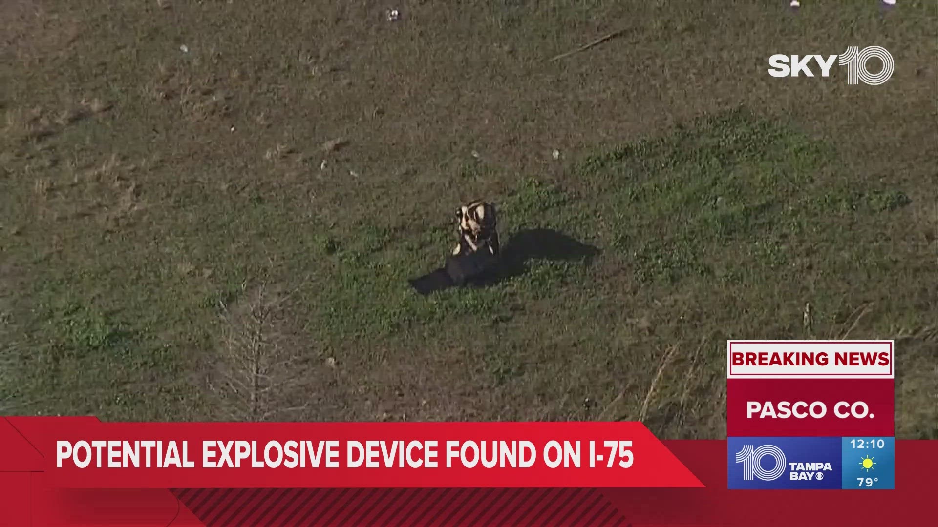 Bomb squad experts from the state and Tampa PD have removed a suspicious device from the shoulder on I-75.