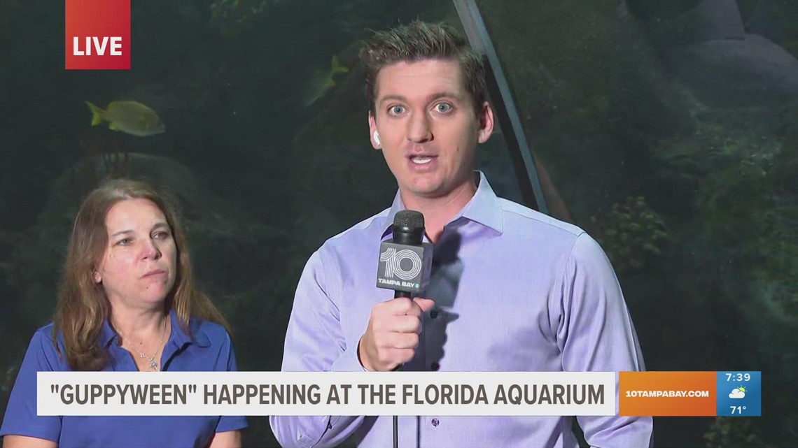 'Guppyween' happening at the Florida aquarium