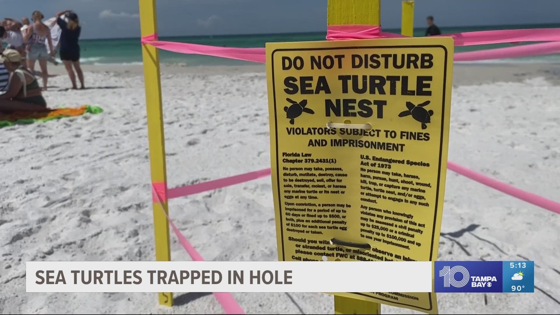 On Sunday morning, a code enforcement officer found four hatchlings stuck in a large hole on Holmes Beach.