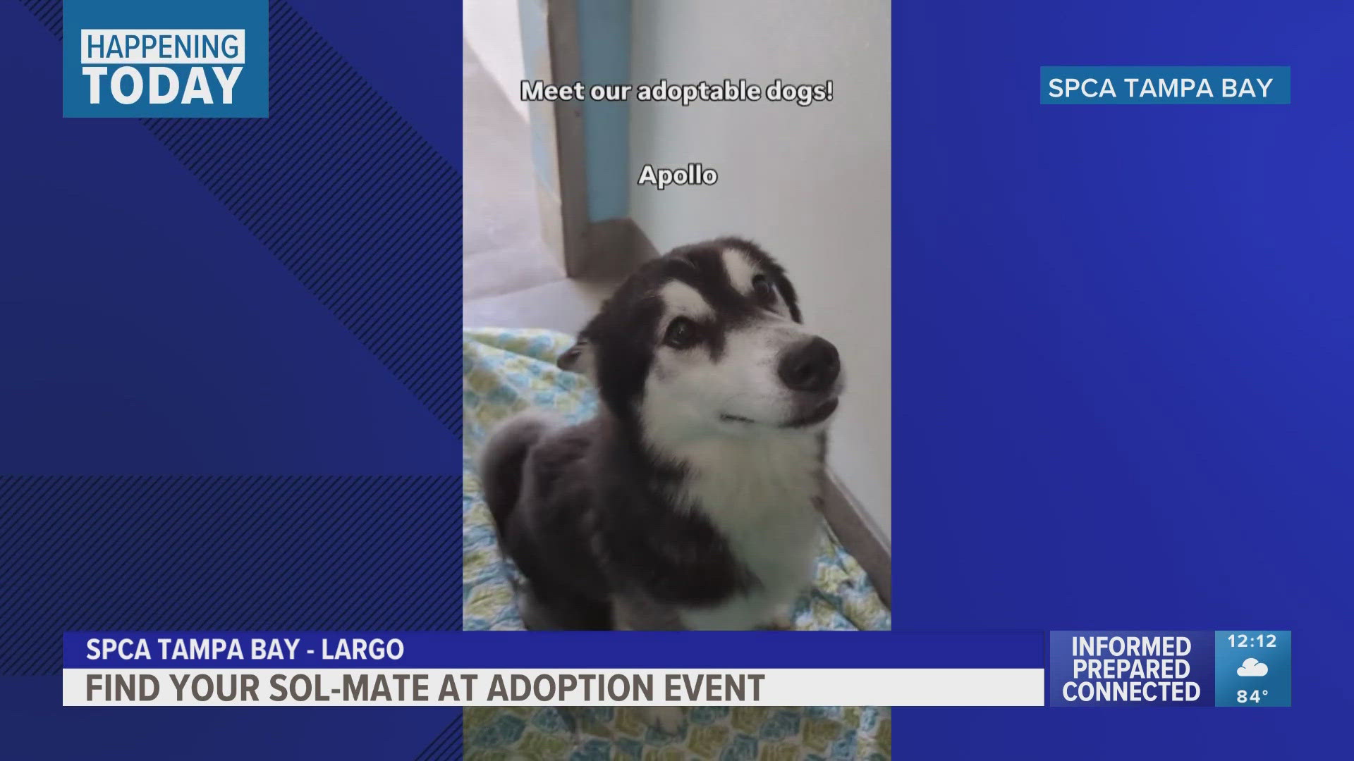 The event runs from 1 p.m. to 6 p.m. at SPCA's location in the area of 130th Avenue North in Largo.
