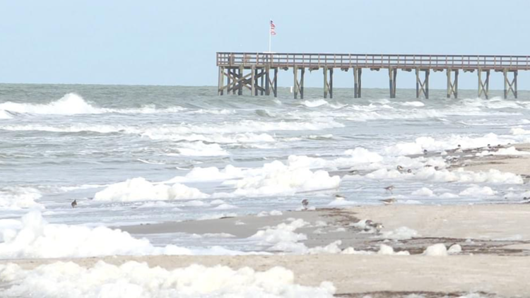 That Foam on the Beach Is (Probably) Fine - A Bay Nature Explainer