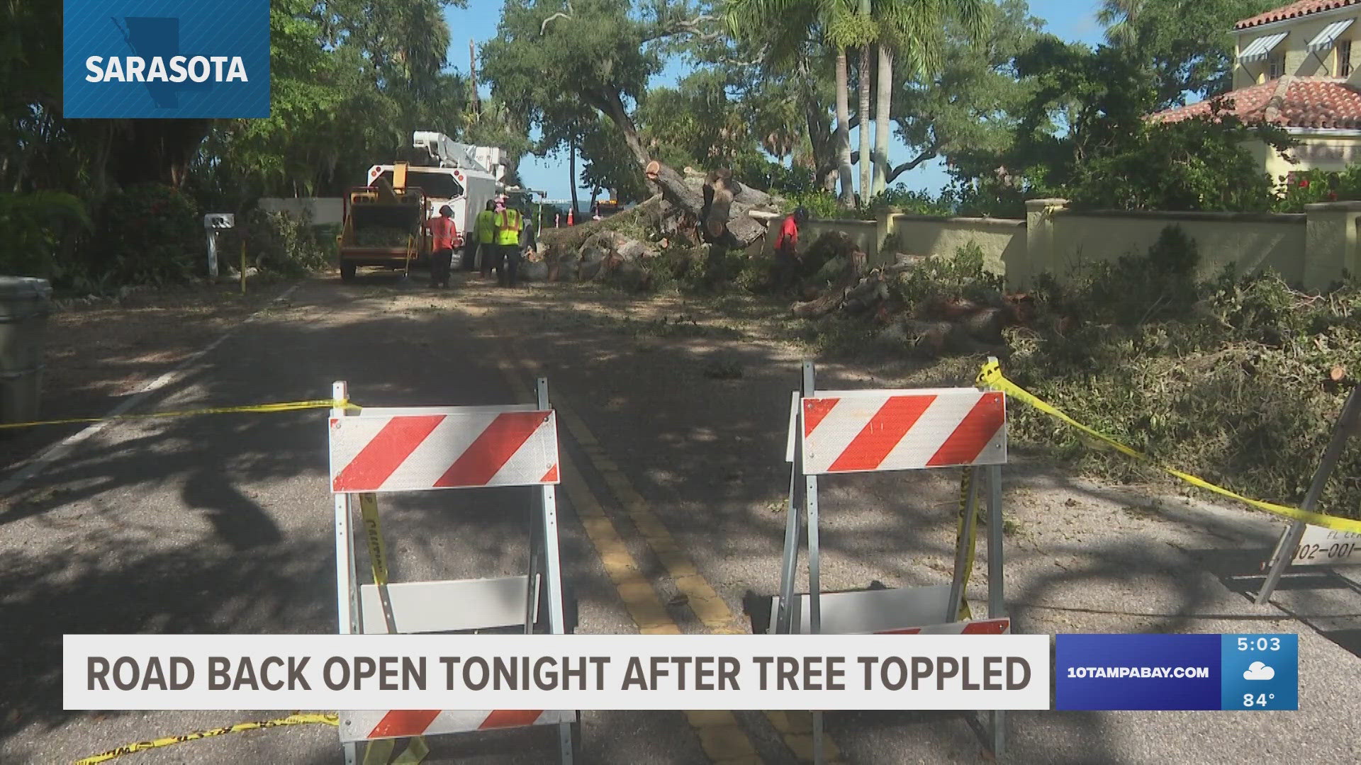 The tree fell in the area of Indian Beach Drive and Bay Shore Road.