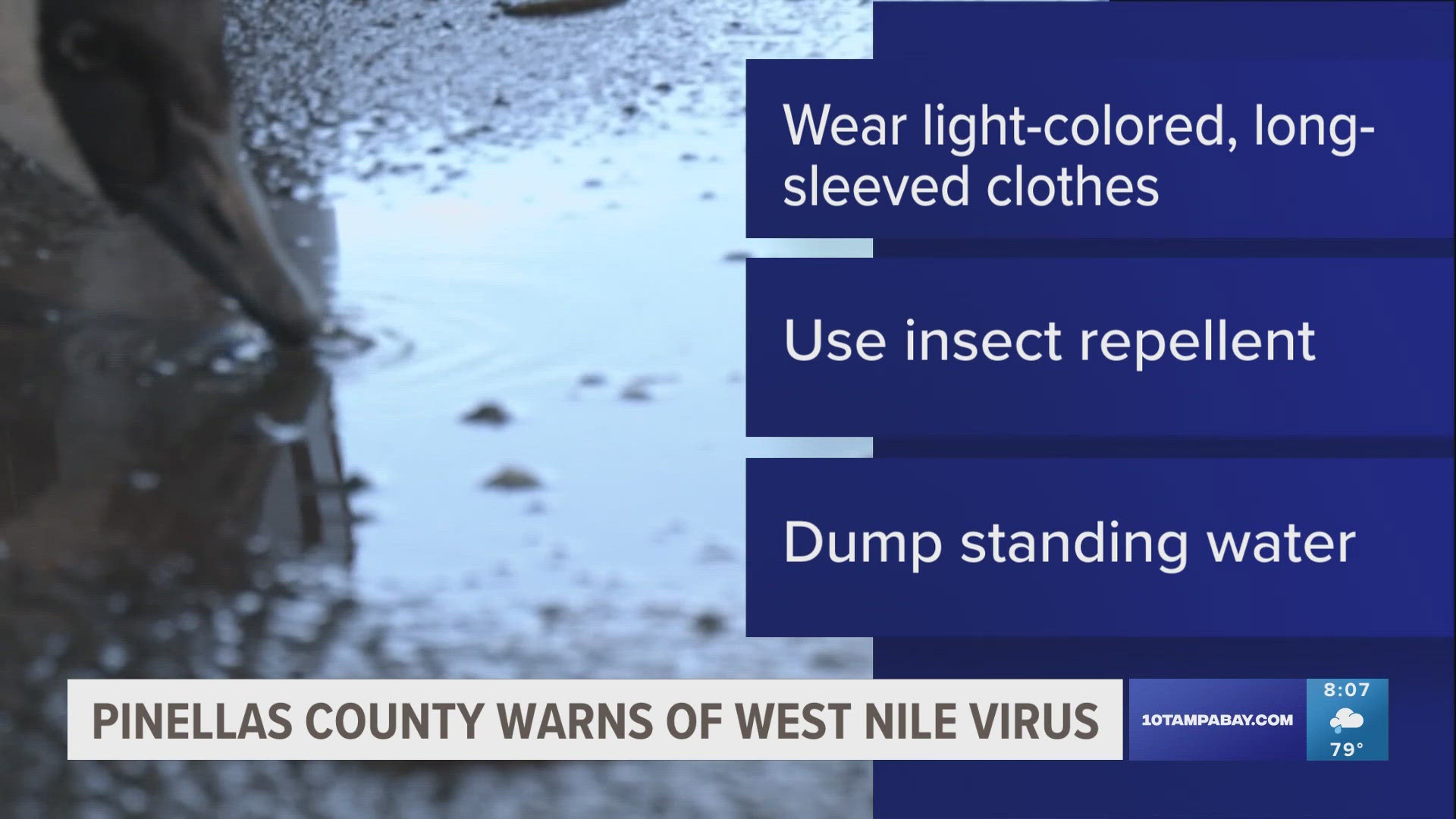 Pinellas County Mosquito Control is urging residents to protect themselves from mosquitoes as there is an increase in West Nile Virus cases.