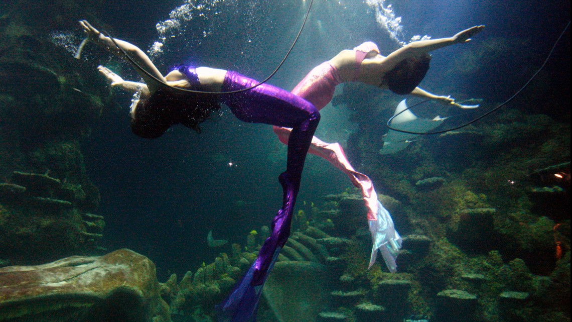 Weeki Wachee Springs holding auditions for worldfamous mermaids