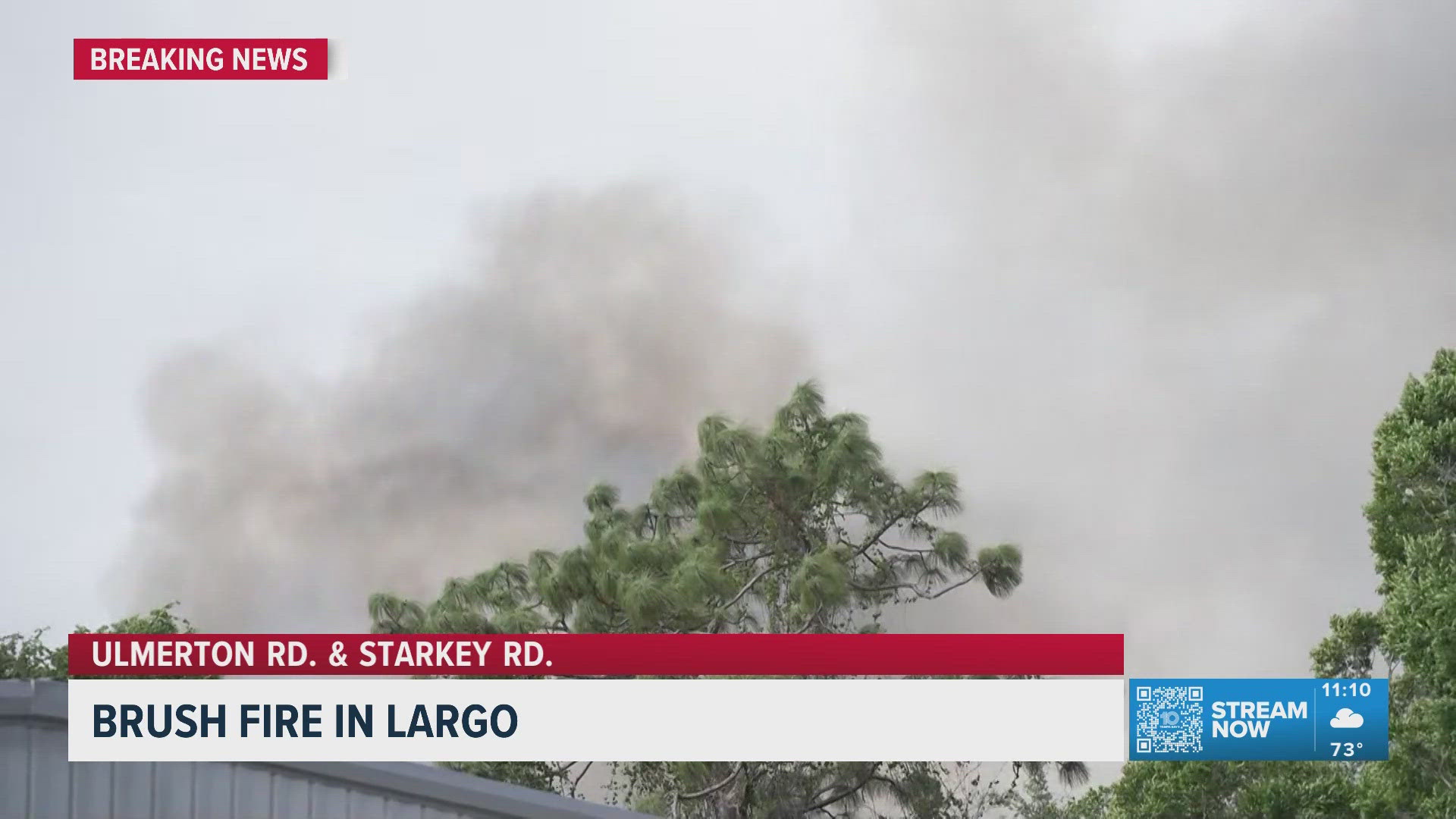 Crews respond to Largo brush fire | wtsp.com