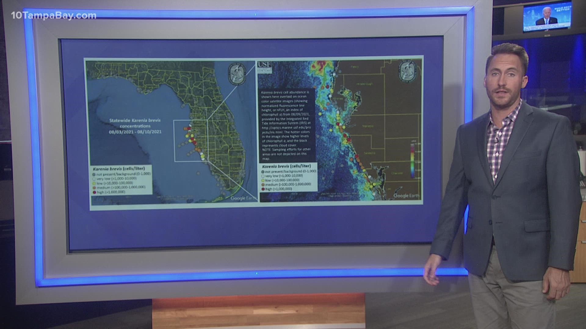 Red tide continues to persist along the Florida Gulf coast, although it's shown minor improvements.