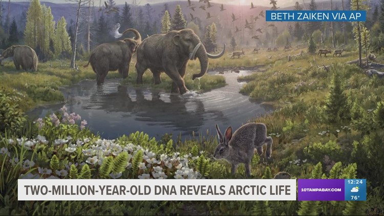 DNA reveals what the Arctic looked like 2 million years ago