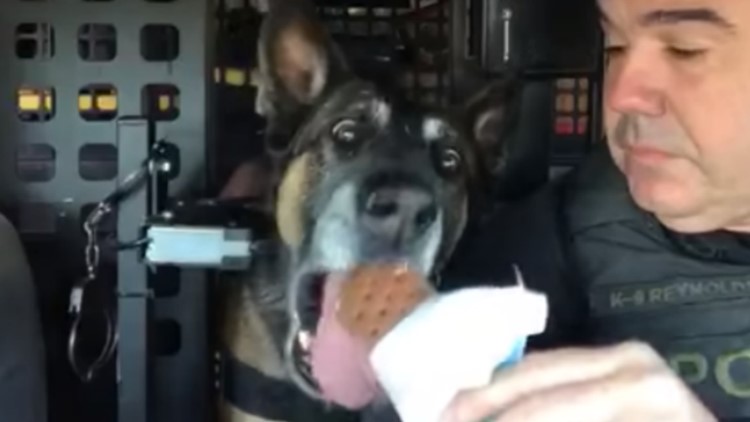 Retired OVPD K-9 has passed away, News