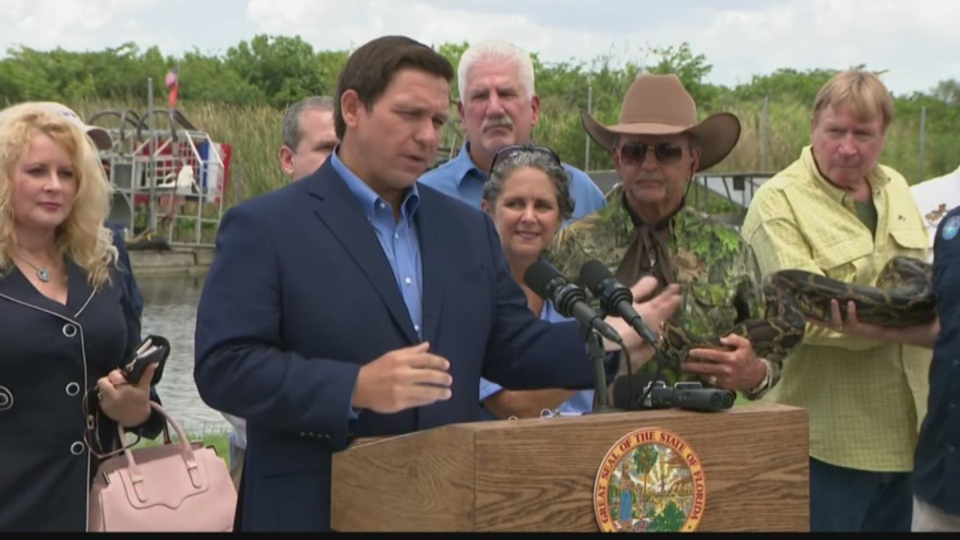 Governor Ron DeSantis made an announcement on the state's efforts to double down on the removal of pythons as the invasive species continues to be a problem for the Florida Everglades. 

DeSantis made the announcement with the help of people and organizations like Alligator Ron, the Florida Fish and Wildlife Commission and the South Florida Water Management.