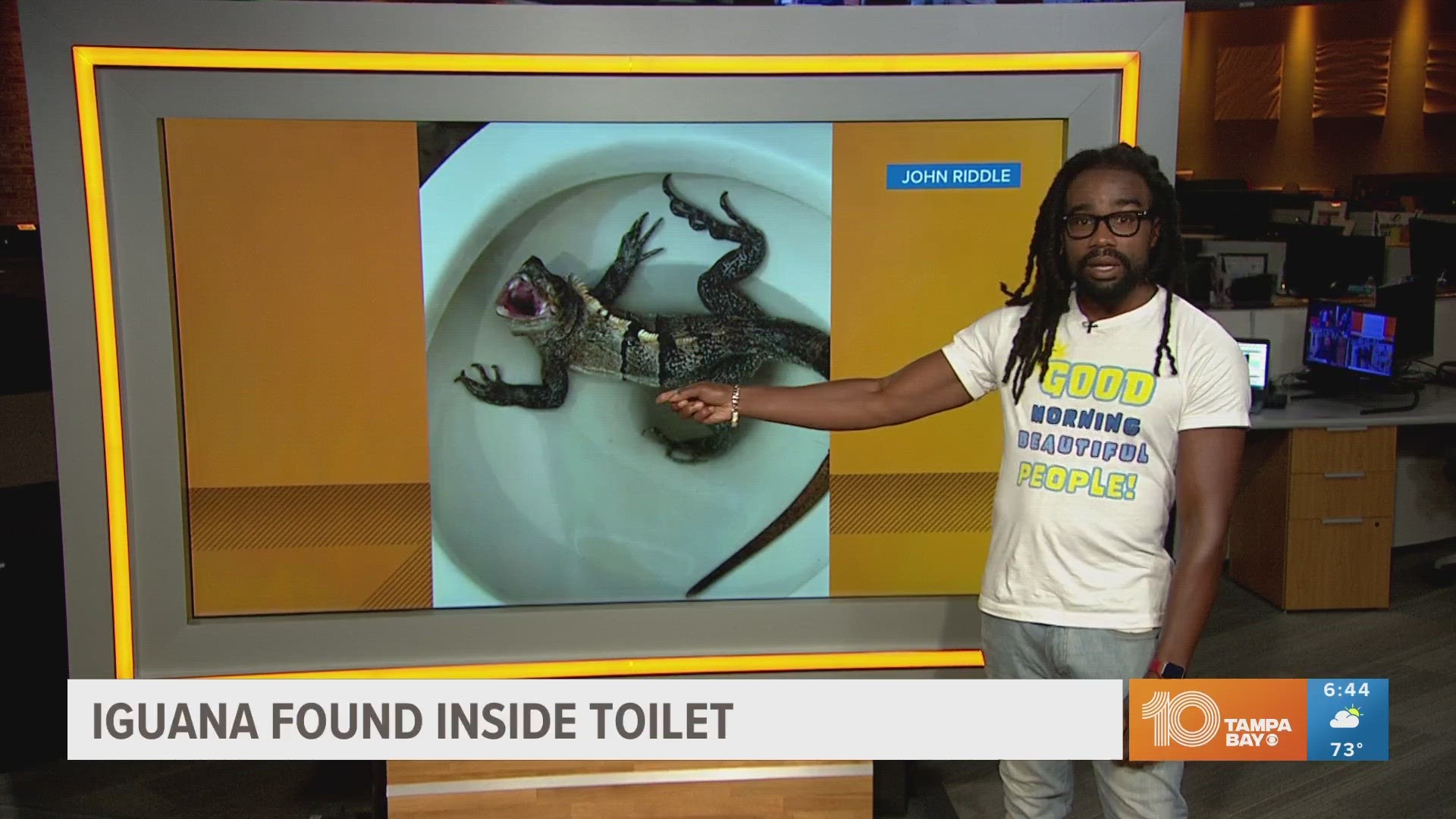 John Riddle told the South Florida SunSentinel that he is used to seeing iguanas, but he is just not used to seeing them in his toilet bowl.