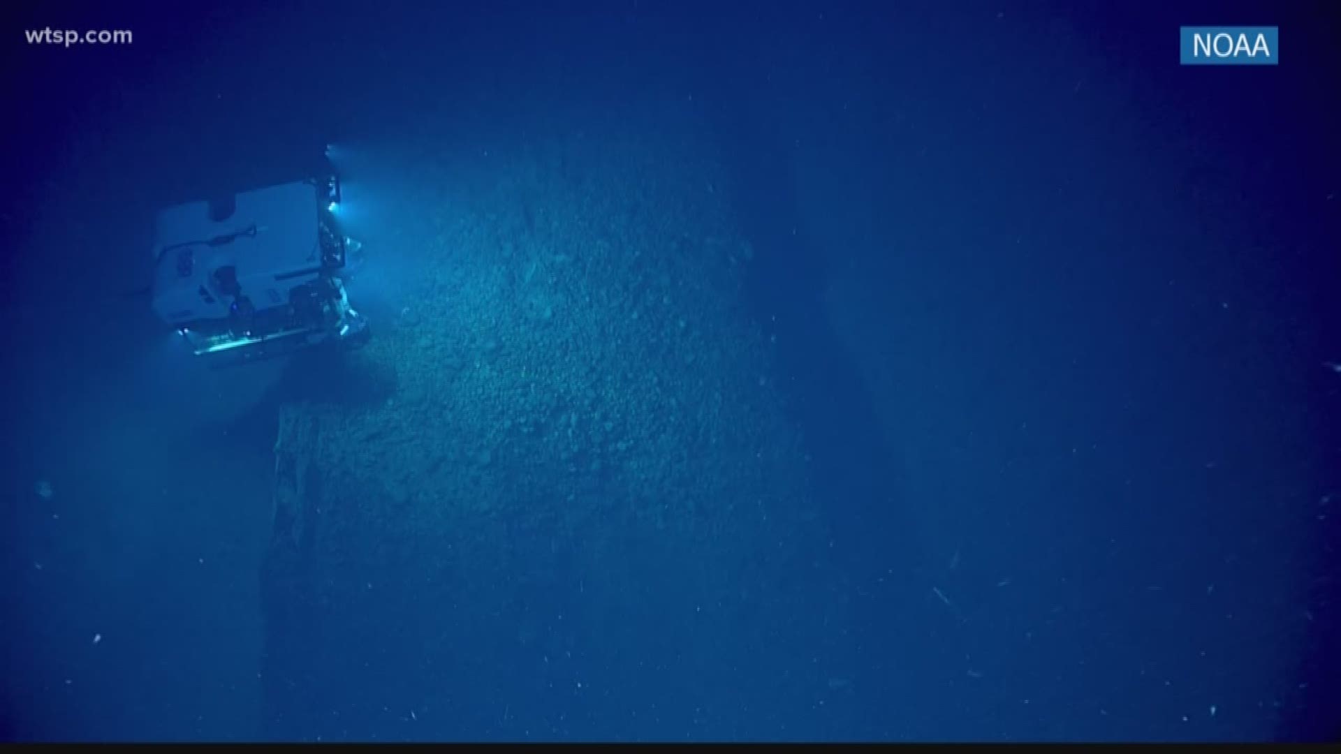 Divers accidentally stumbled upon a 19th-century shipwreck in the Gulf of Mexico. They were testing out new equipment when they found it. Experts suspect that the wreck is a sailing vessel, maybe a schooner or brig, measuring roughly 124 feet long. The evidence is still being processed--but the experts believe it most likely burned before sinking.