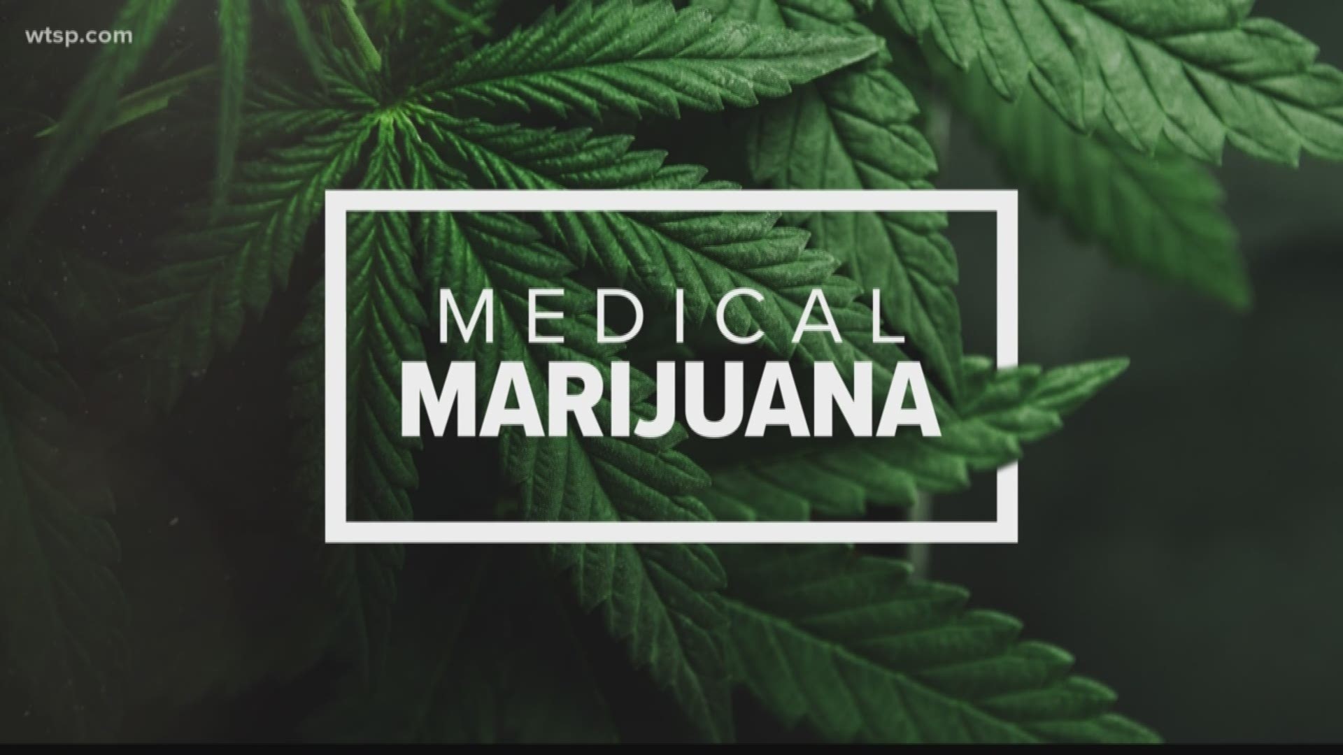 The move comes after 10Investigates found that not all the school districts in the Tampa Bay area have medical marijuana policies in place.