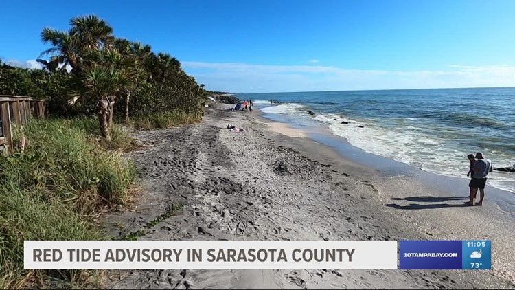 Red tide advisory in Sarasota County impacting beachgoers
