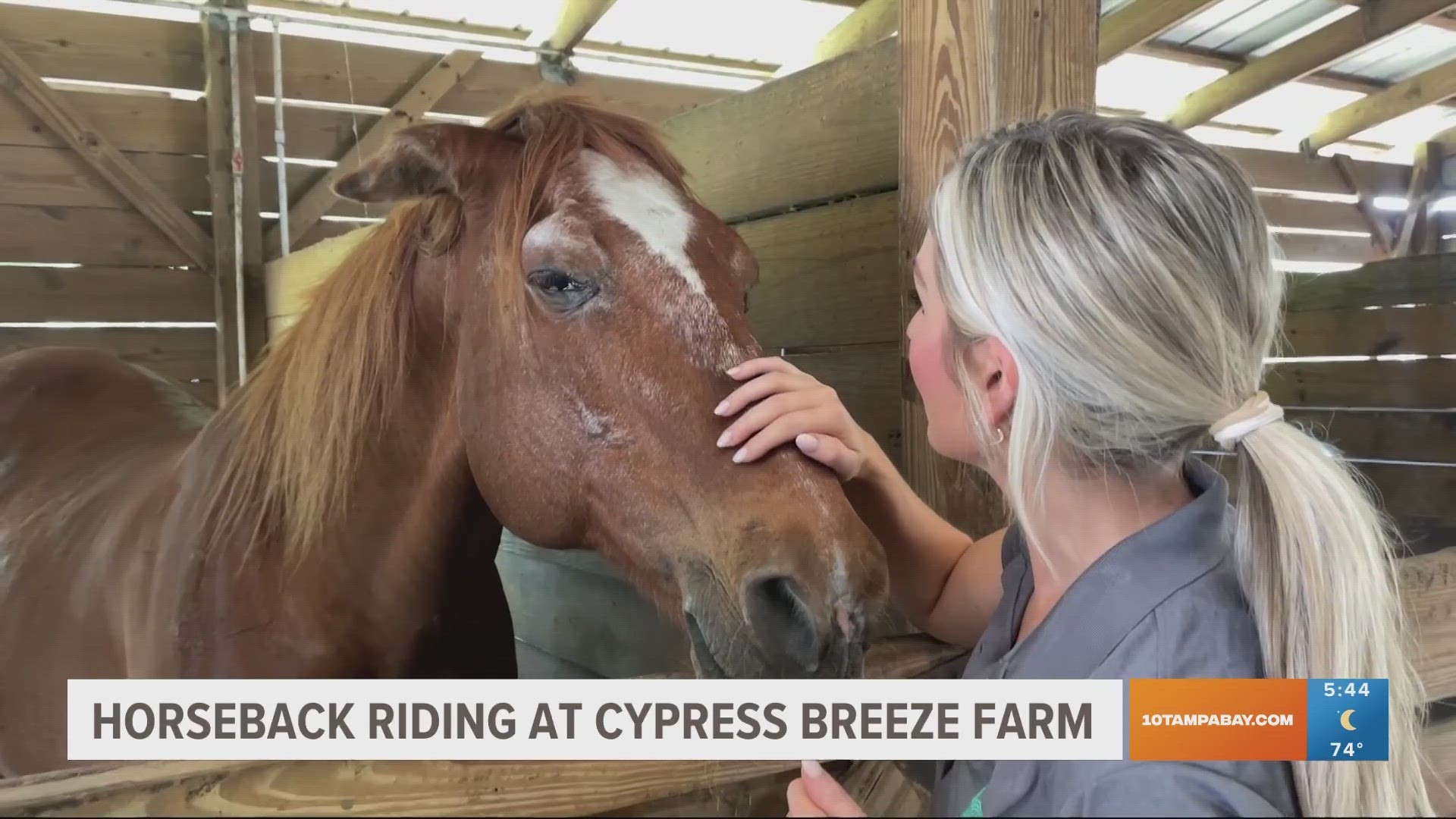 Cypress Breeze Farm is a family-run operation with even the smaller cowgirl helping to run the show.