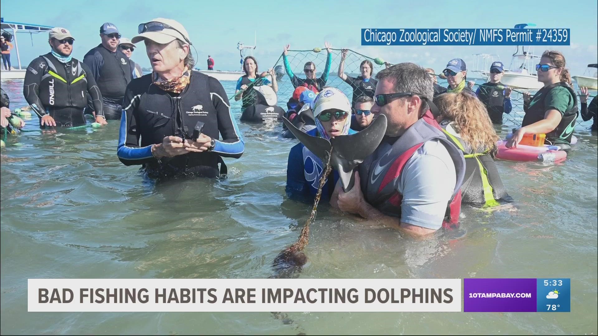 Rescuers and researchers say this is just one example of how improper fishing habits impact our local dolphin population.