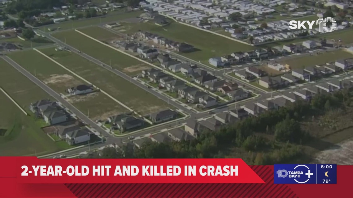 2-year-old dies after being hit by pickup truck in Pasco County | wtsp.com