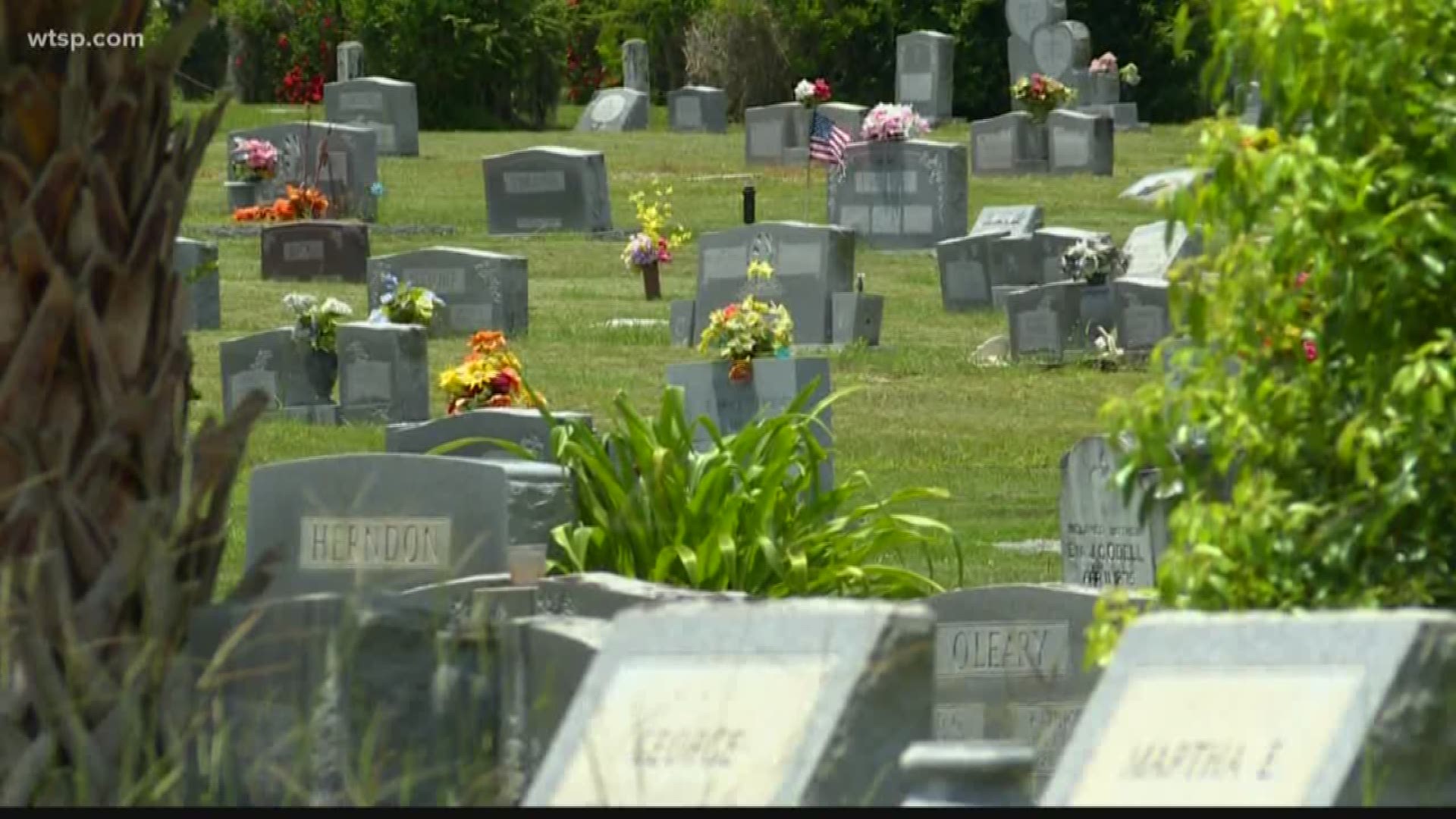 Haines City officials are trying to figure out what happened to people who once owned more than 300 gravesites at the city cemetery.

The burial plots have gone used for more than 50 years now, and if no one steps up to claim them soon, there’s a plan to declare them abandoned property. https://on.wtsp.com/2LWMvkn