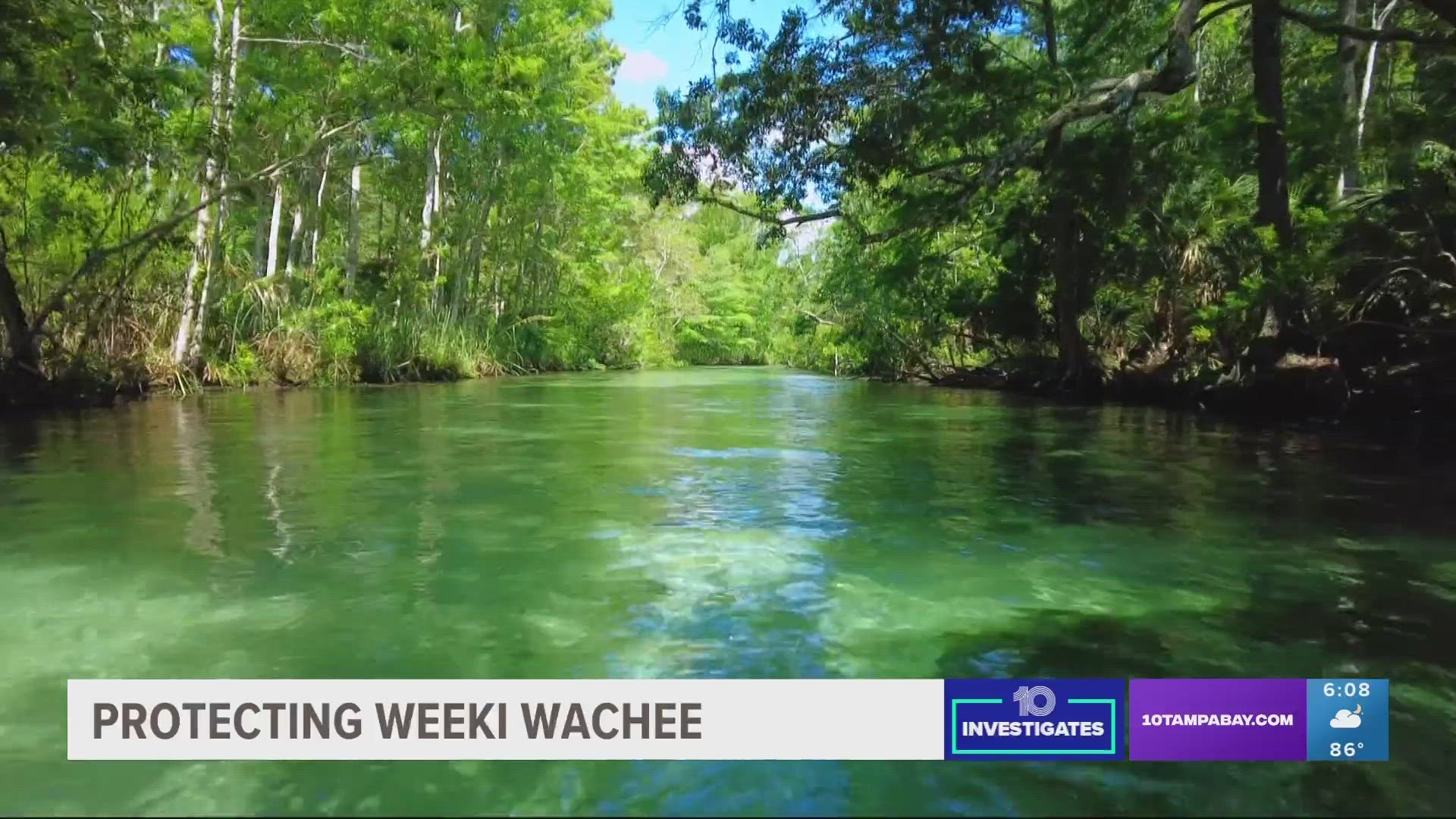 A 2020 capacity study shows this comes in part from excessive recreation on the river as Weeki Wachee becomes a growing tourist destination.