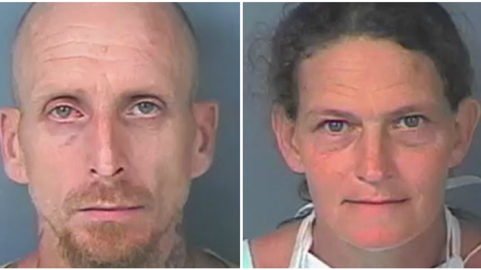 Florida Couple Arrested Accused Of Stealing From Humane Society