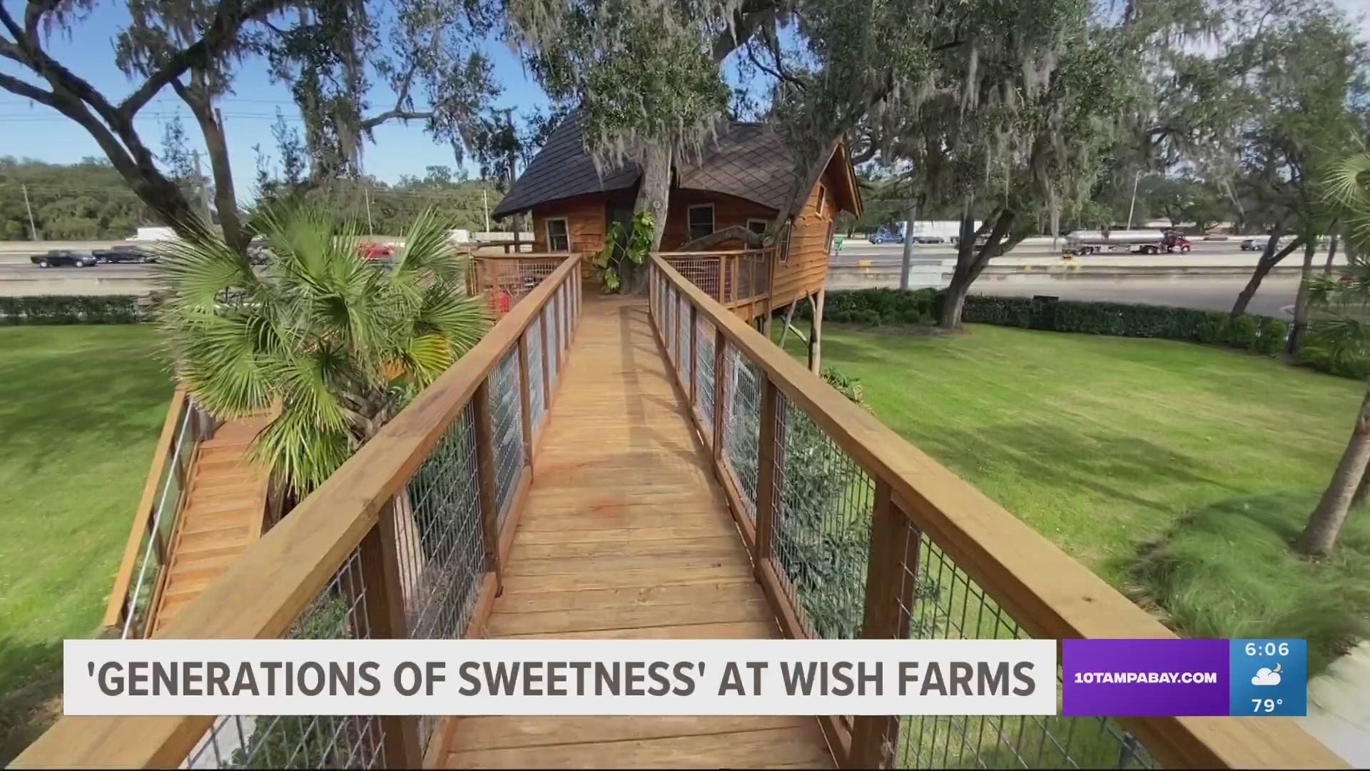 The third-generation owner of the Plant City based Wish Farms takes us through 100 years of history and his hope for the 100 years to come.