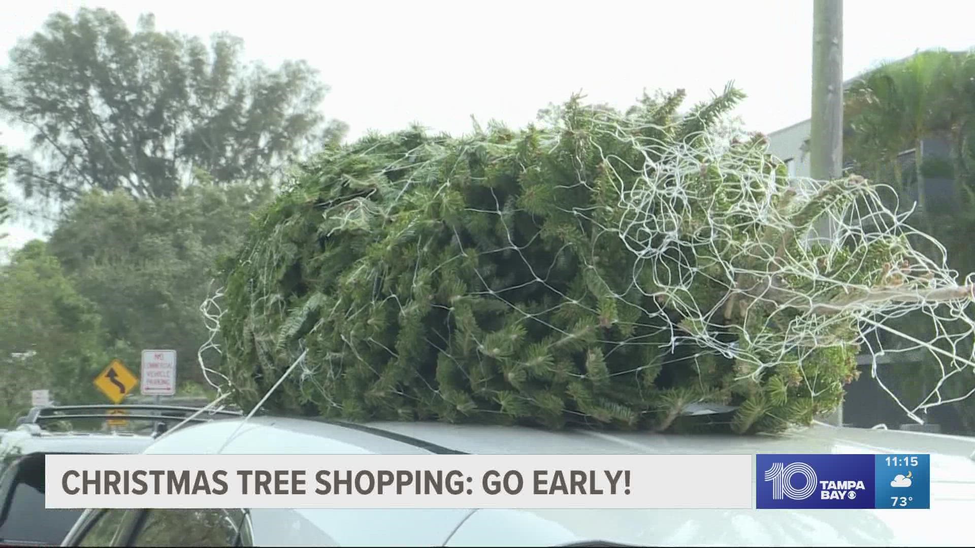 Welcome to Christmas time! If you're buying a live tree, the recommendation is to shop early.