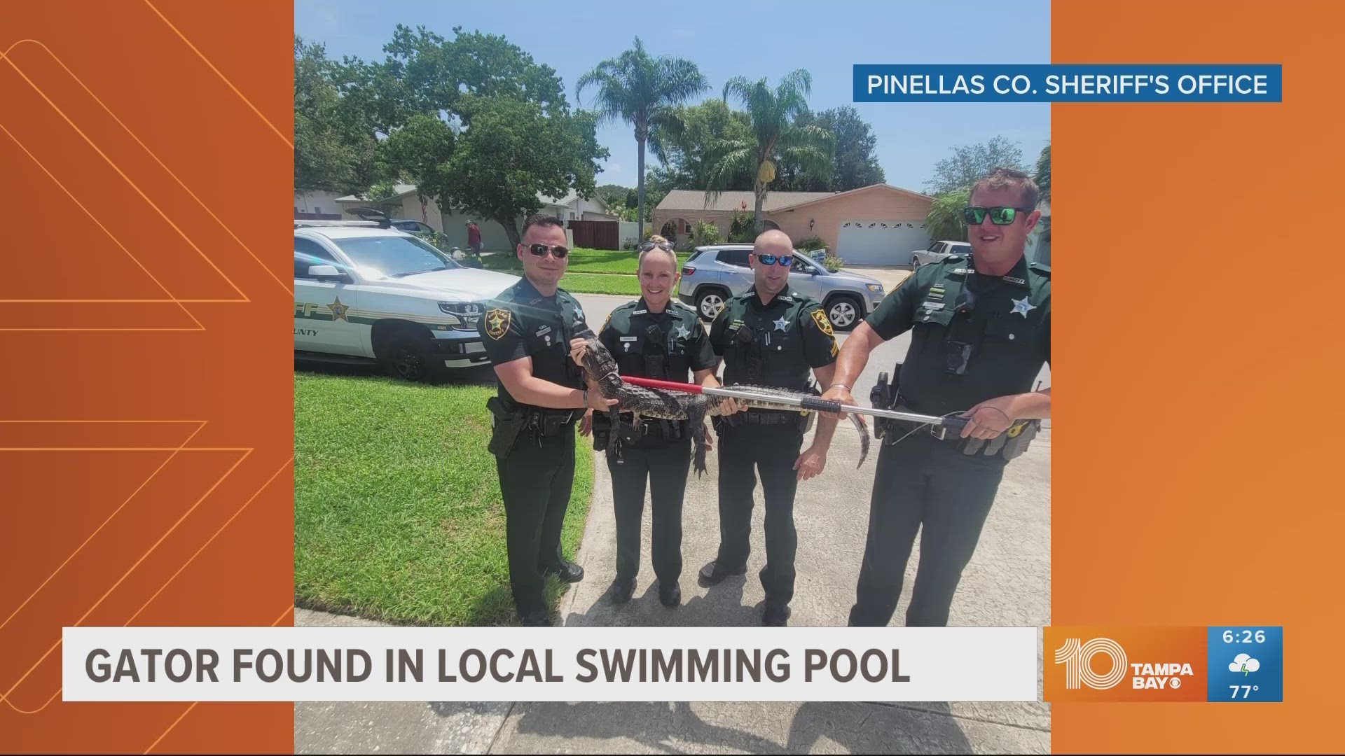 The small gator prompted a reminder from authorities to always check your pools for unwanted swimmers!