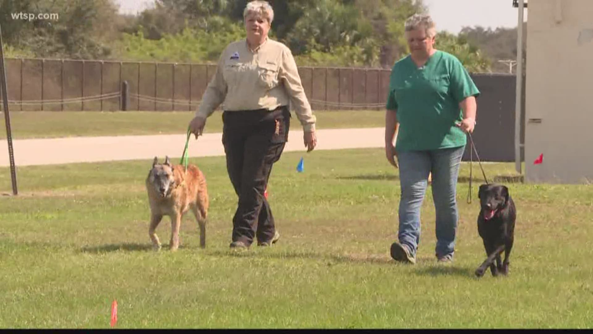 A cadaver dog search will begin Tuesday afternoon to detect possible remains from the burial ground.