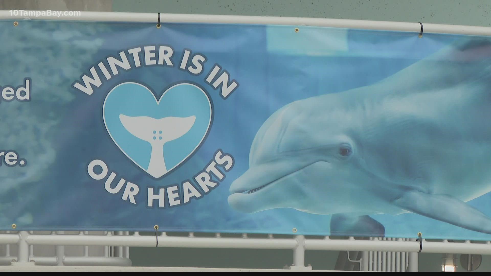 Families traveled from as far as Fort Worth, Tex. to give one last goodbye to the "Dolphin Tale" star.