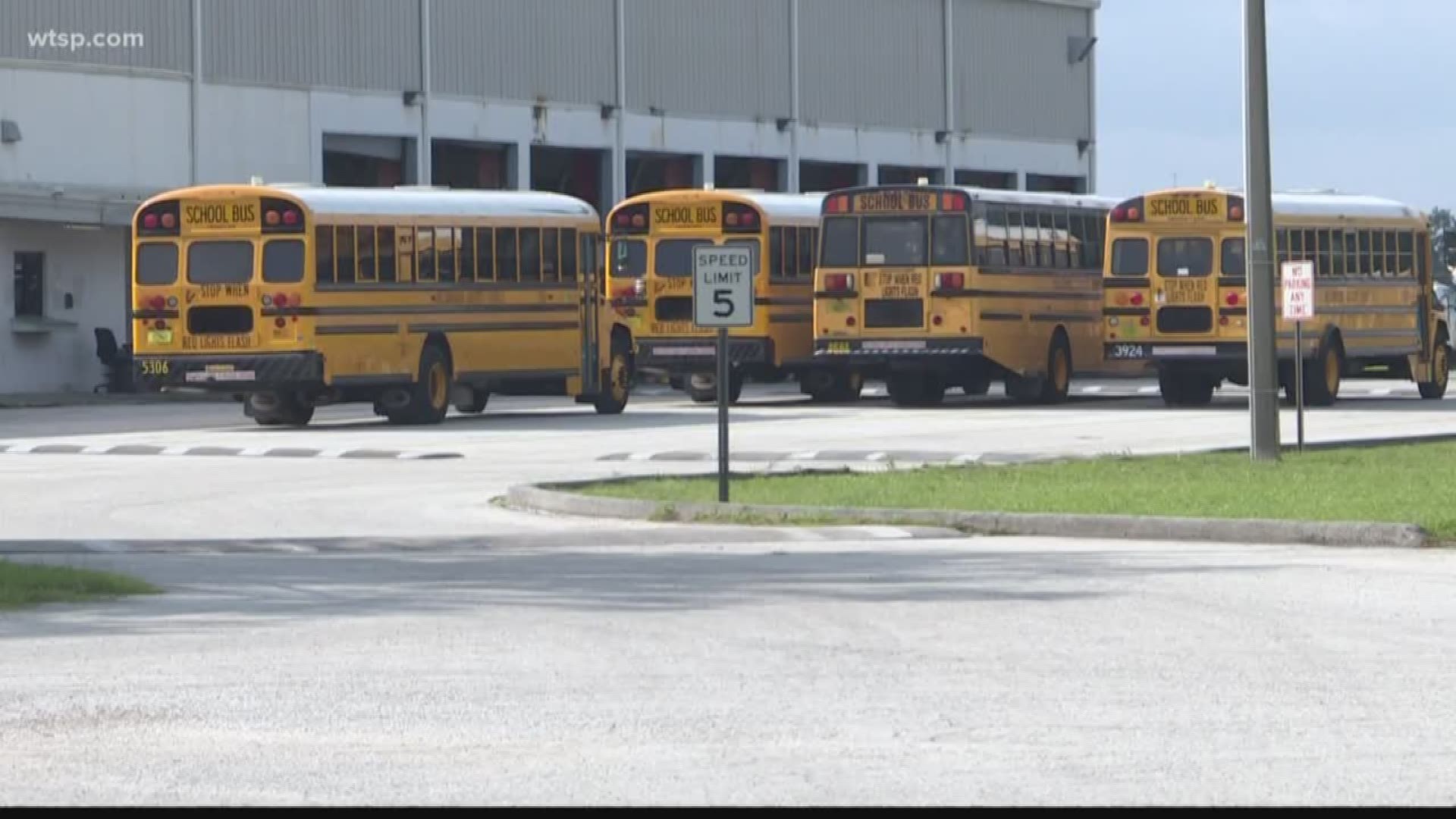 Need work? Hillsborough County Schools hiring bus drivers