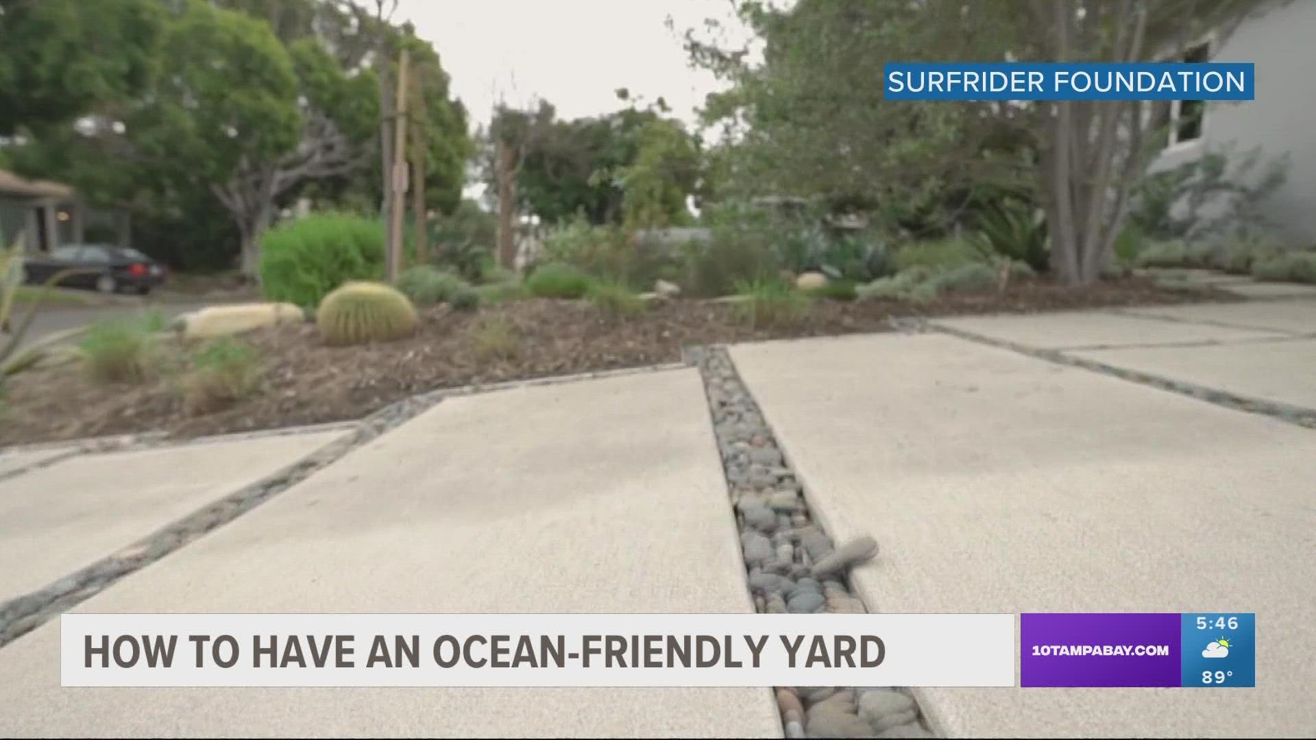 Advocates for ocean-friendly landscaping at the Surfrider Foundation say it’s all one big ecosystem.