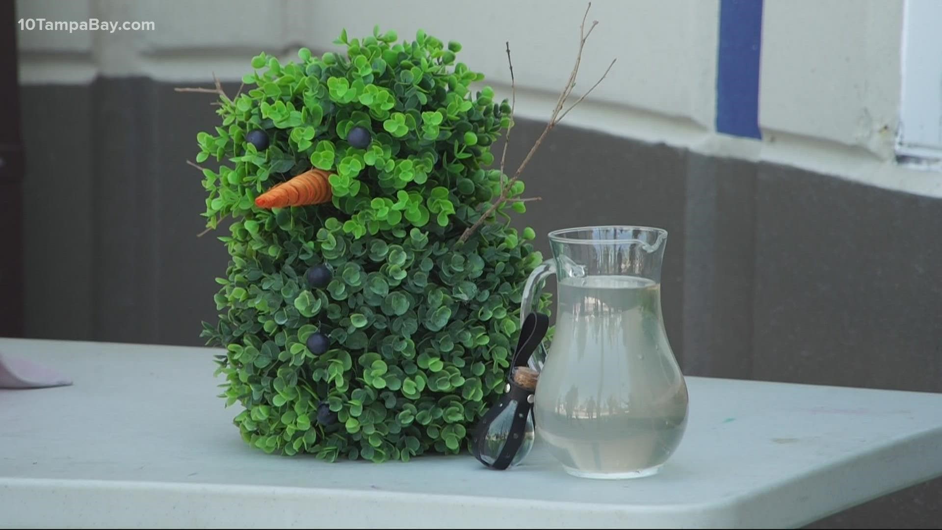 Lucky the snowman will live out his legacy in the school's garden box, officials say.