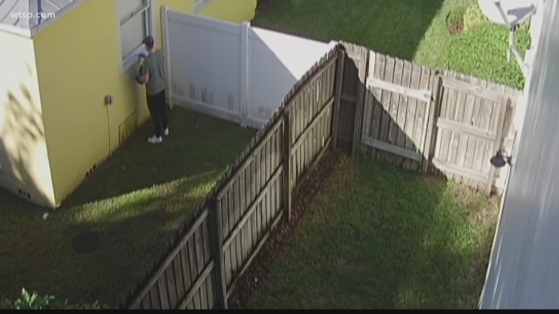 Many people install security systems to alert them to intruders but for one South Tampa family, a signal problem meant not knowing someone was in their home.