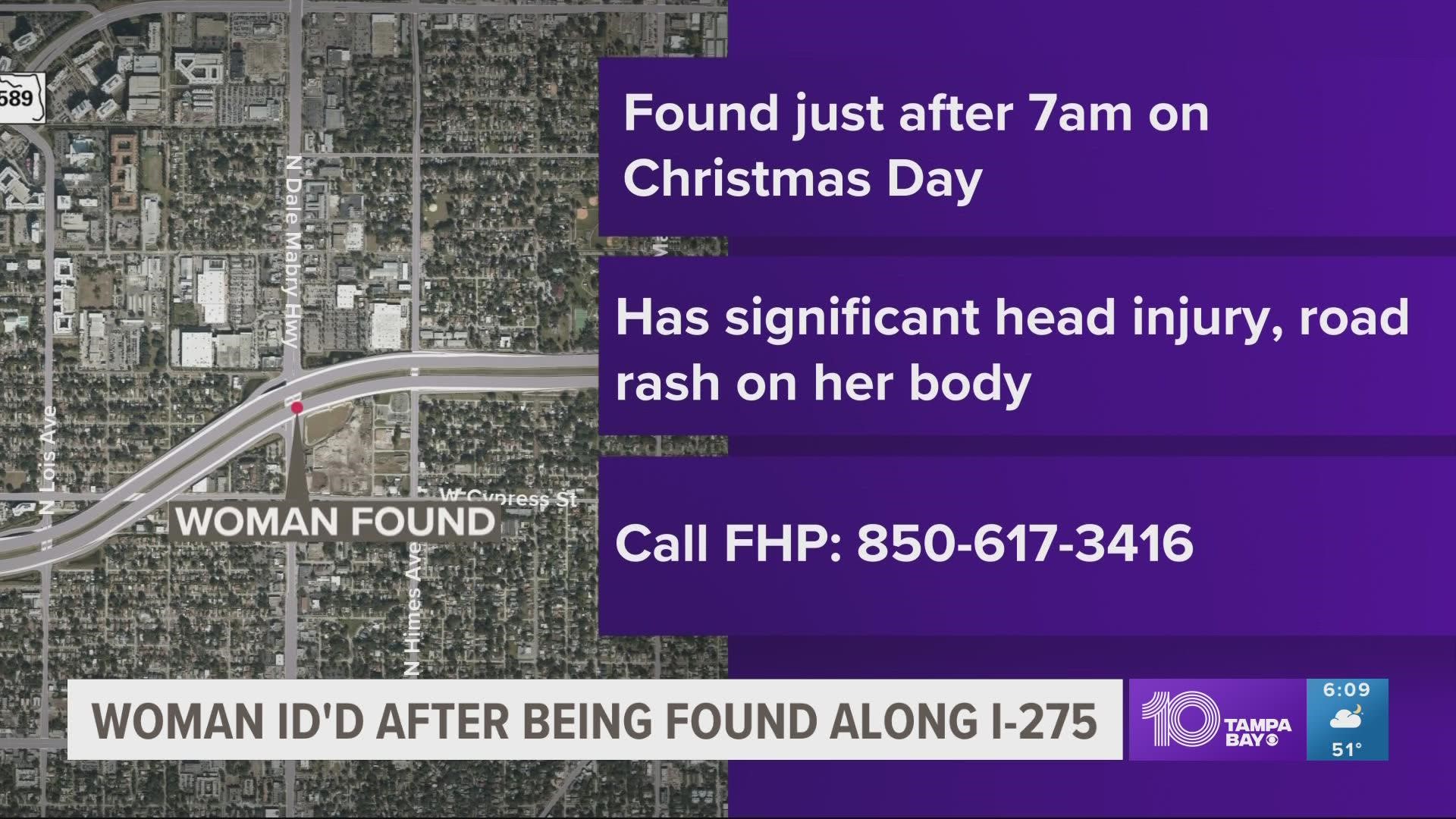 Dover florida christmas lane