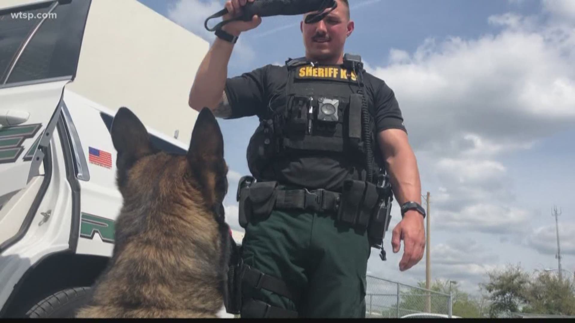 Pasco County Deputy Nick Carmack and his K-9 Shep became overnight TV stars on the hit A&E show "Live PD." But now, after two years, the department has left the show.