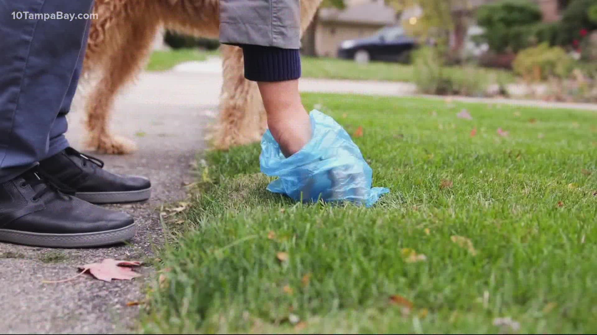 It's responsible to pick up your dog's waste, but you may not be disposing of it properly.