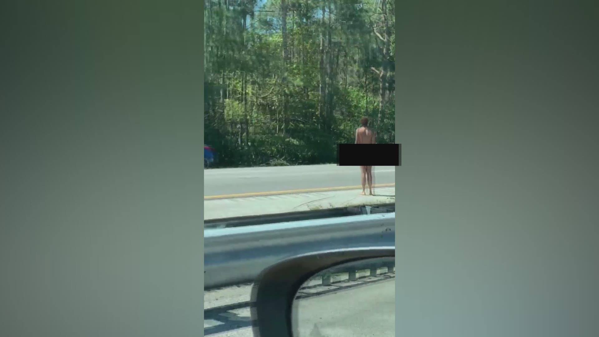 Richard Griffin wasn't expecting to see something like this when he and his wife Donna were driving on Interstate 95 the other day. (Video: Richard Griffin)