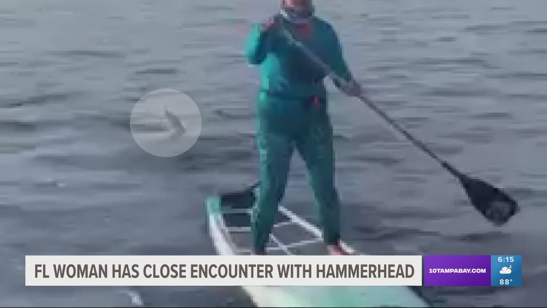 Malea Tribble and her husband, Rickey Tribble, were participating in a paddle board relay race from The Bahamas to Florida.