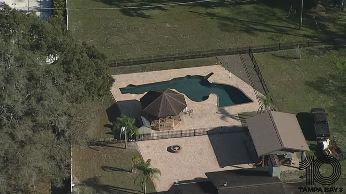 Gun-shaped pool in Pasco County | wtsp.com
