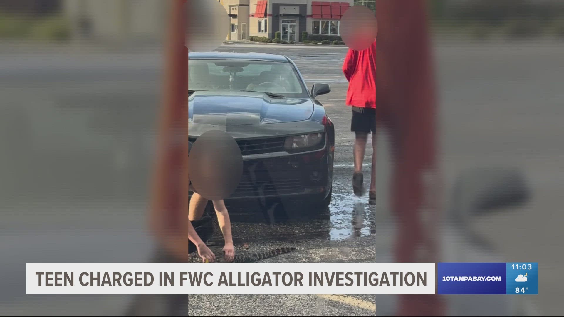 In a video, two individuals within a group can be seen handling a young alligator and placing its mouth on an aluminum canned drink outside at a parking lot.