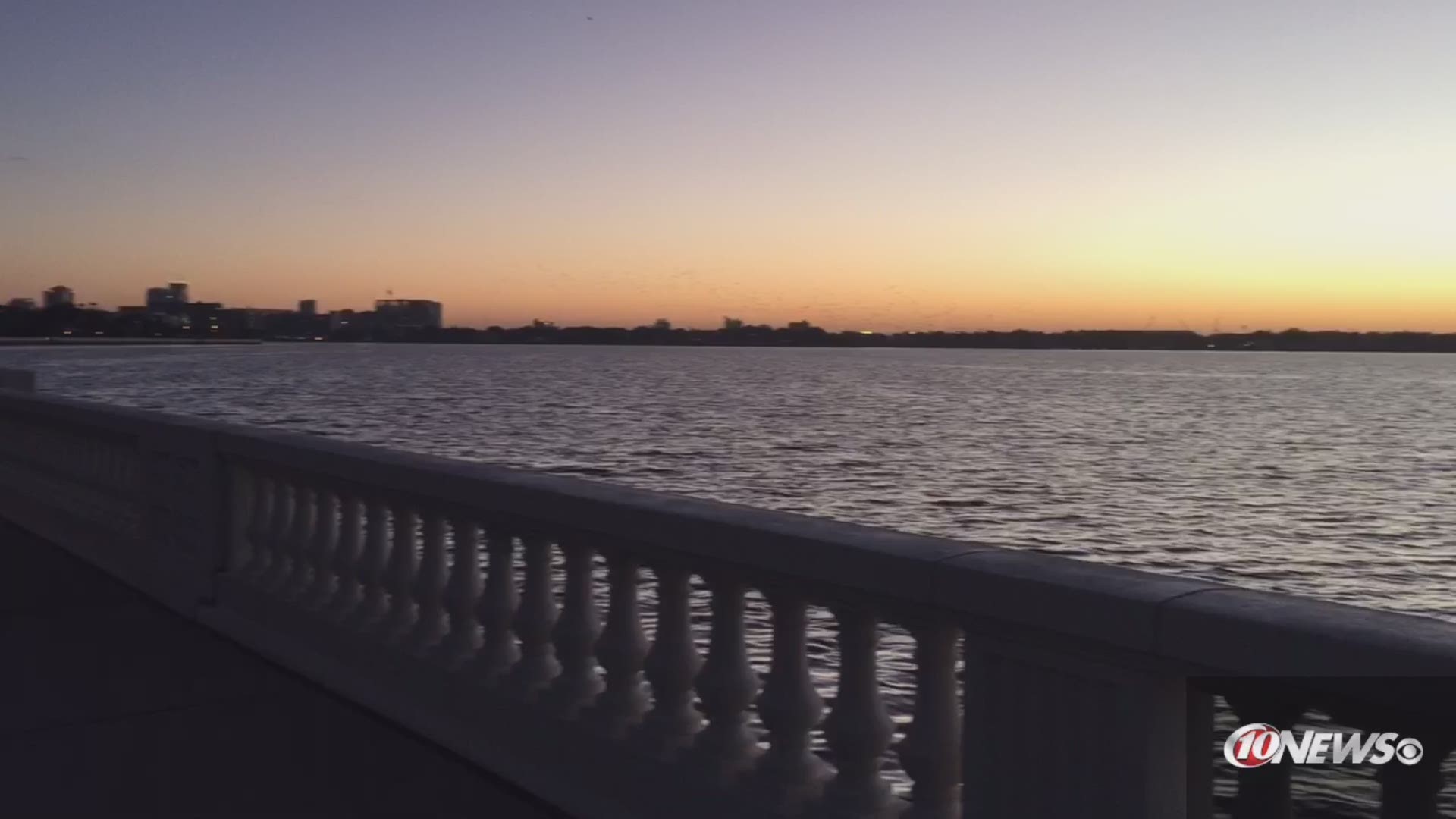 10 scenic drives around Tampa Bay to take while selfisolating