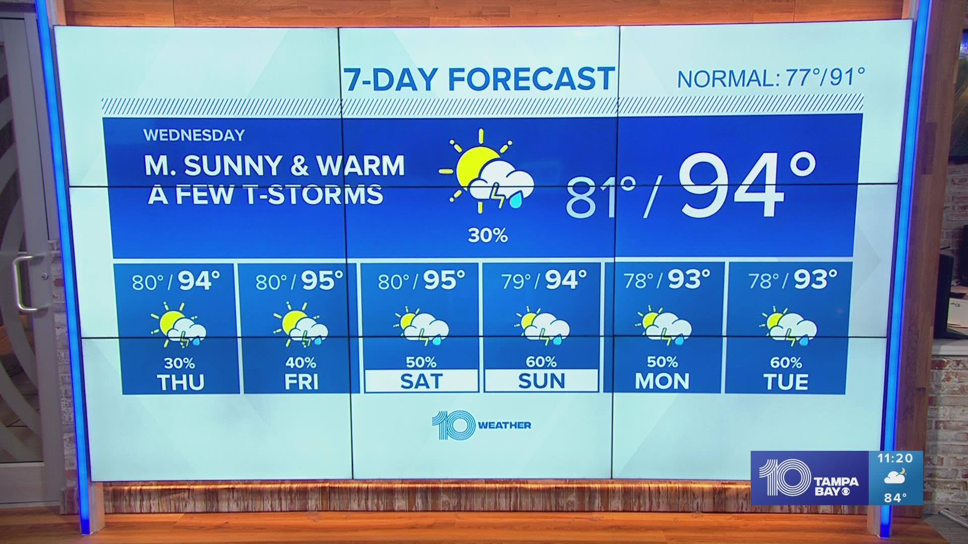 Watch 10 Tampa Bay Live and OnDemand Videos Tampa, Florida