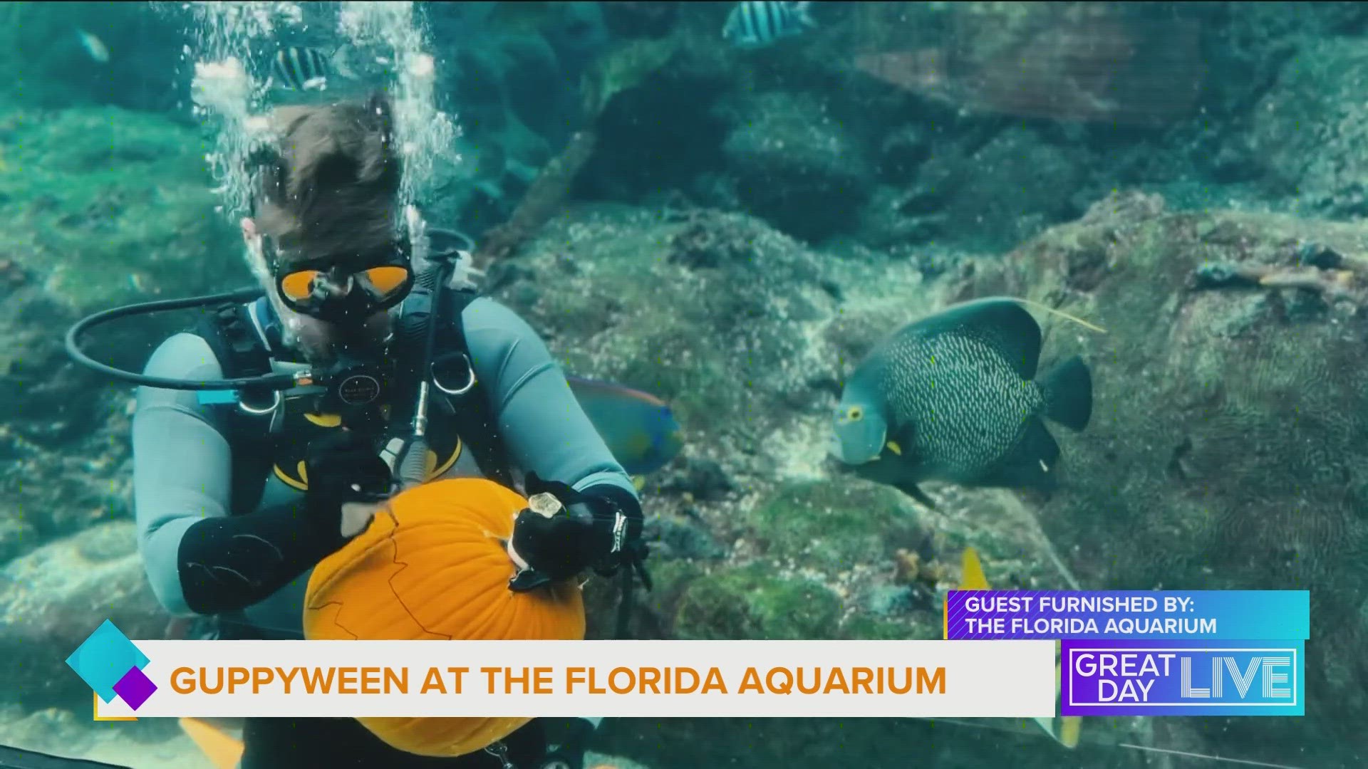 Guppyween at The Florida Aquarium