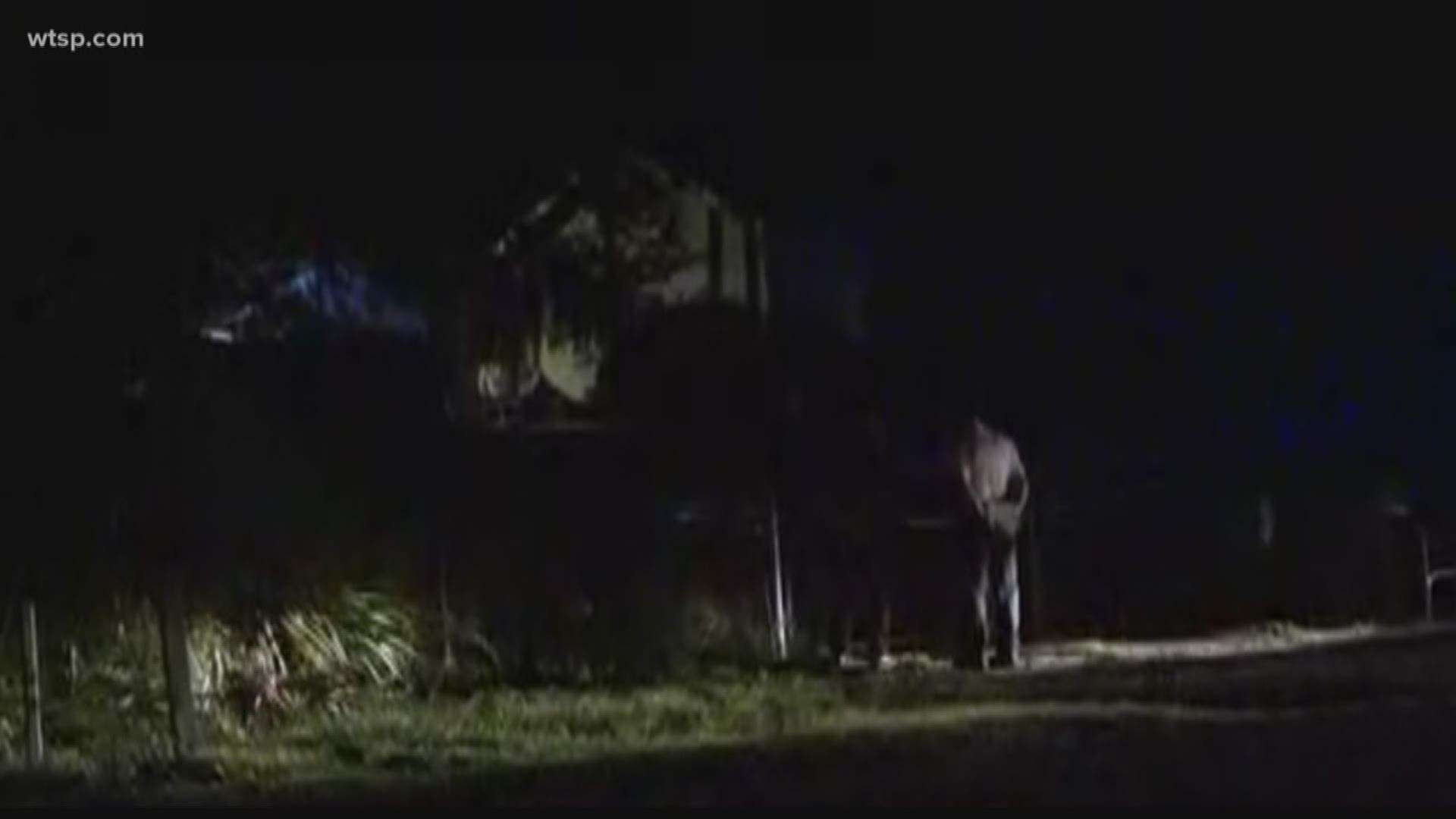 Shooting at a Wimauma home believed to be a murdersuicide