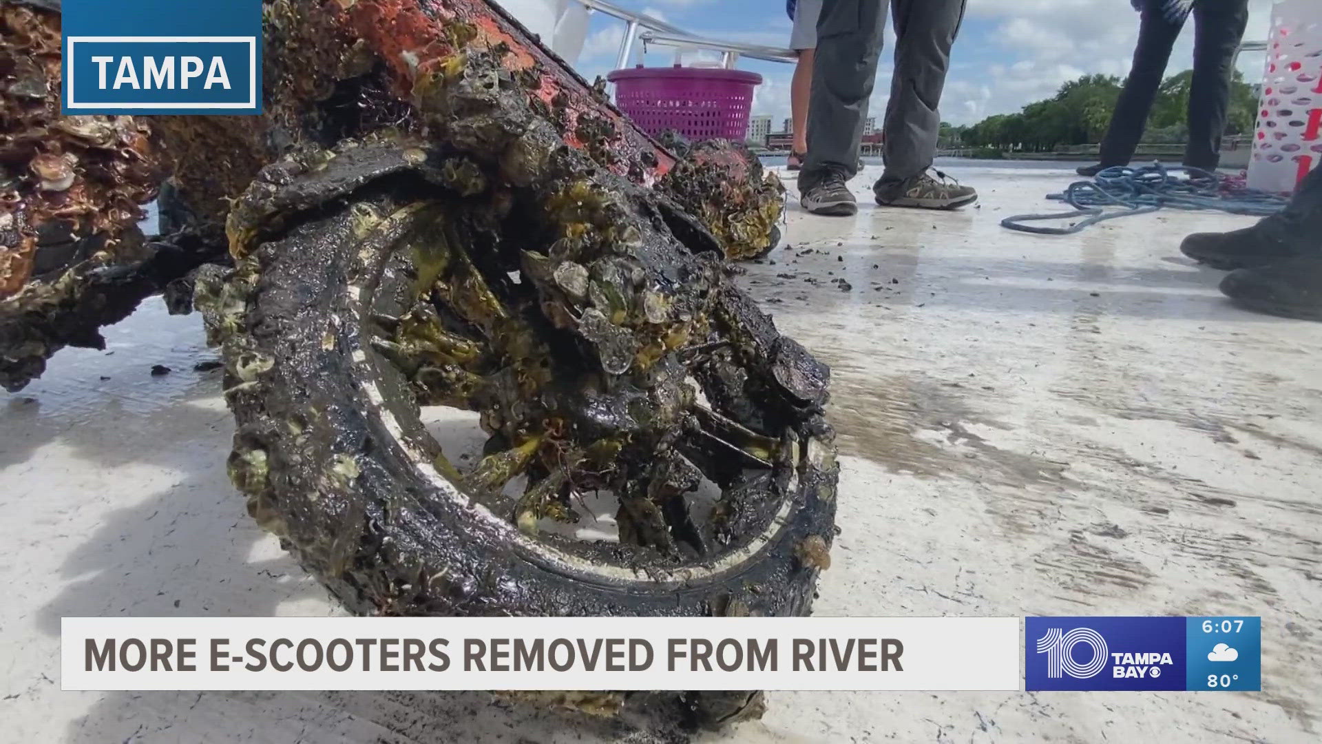 Keep Tampa Bay Beautiful says changes to e-scooter parking requirements are helping keep them out of the waters.