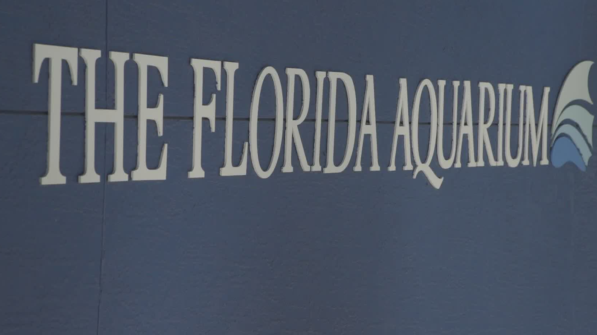 The Florida Aquarium said it will be "touch-free" when it reopens this week.
