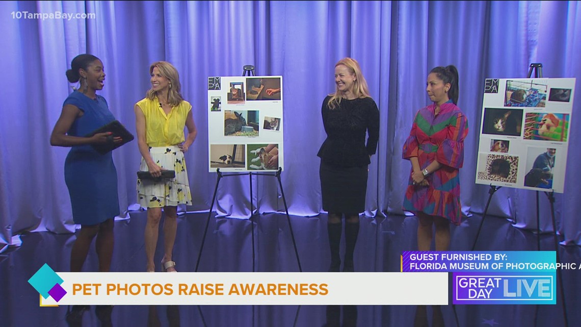 Pet photos for a good cause - Vimarsana News
